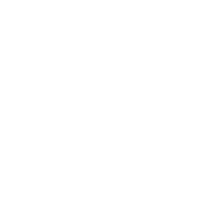 审计税务